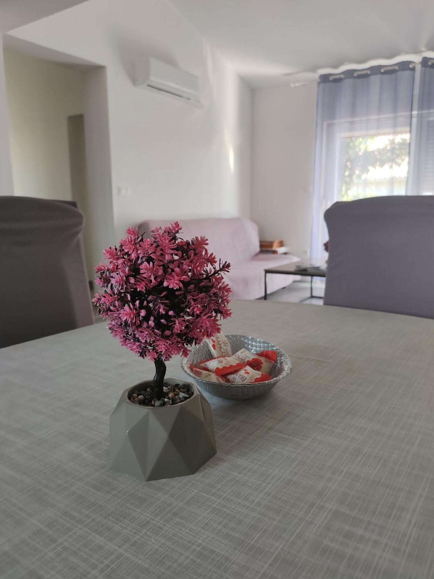 Apartman Olic Razanac Bagian luar foto